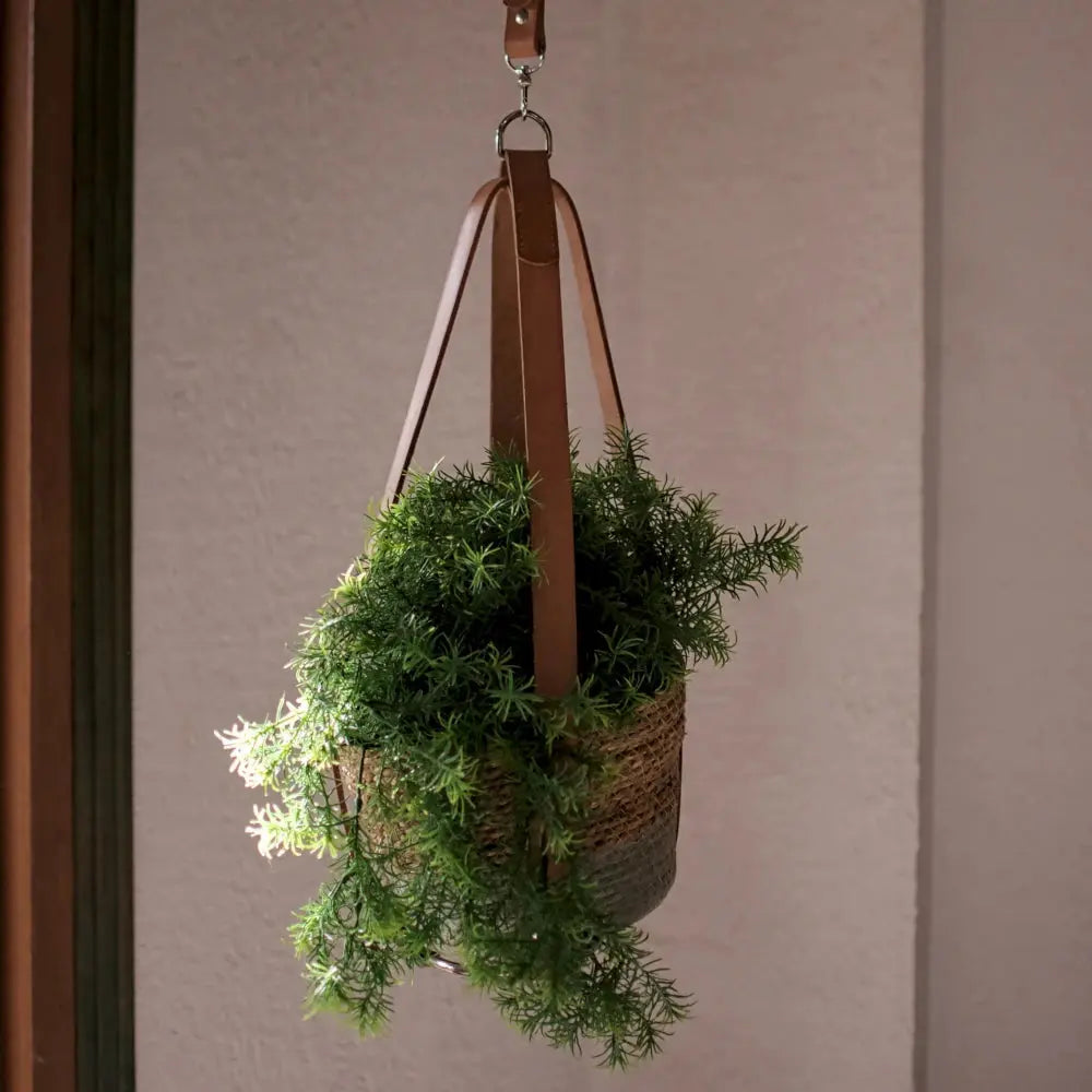 Porte plante Ivy Ma boutique